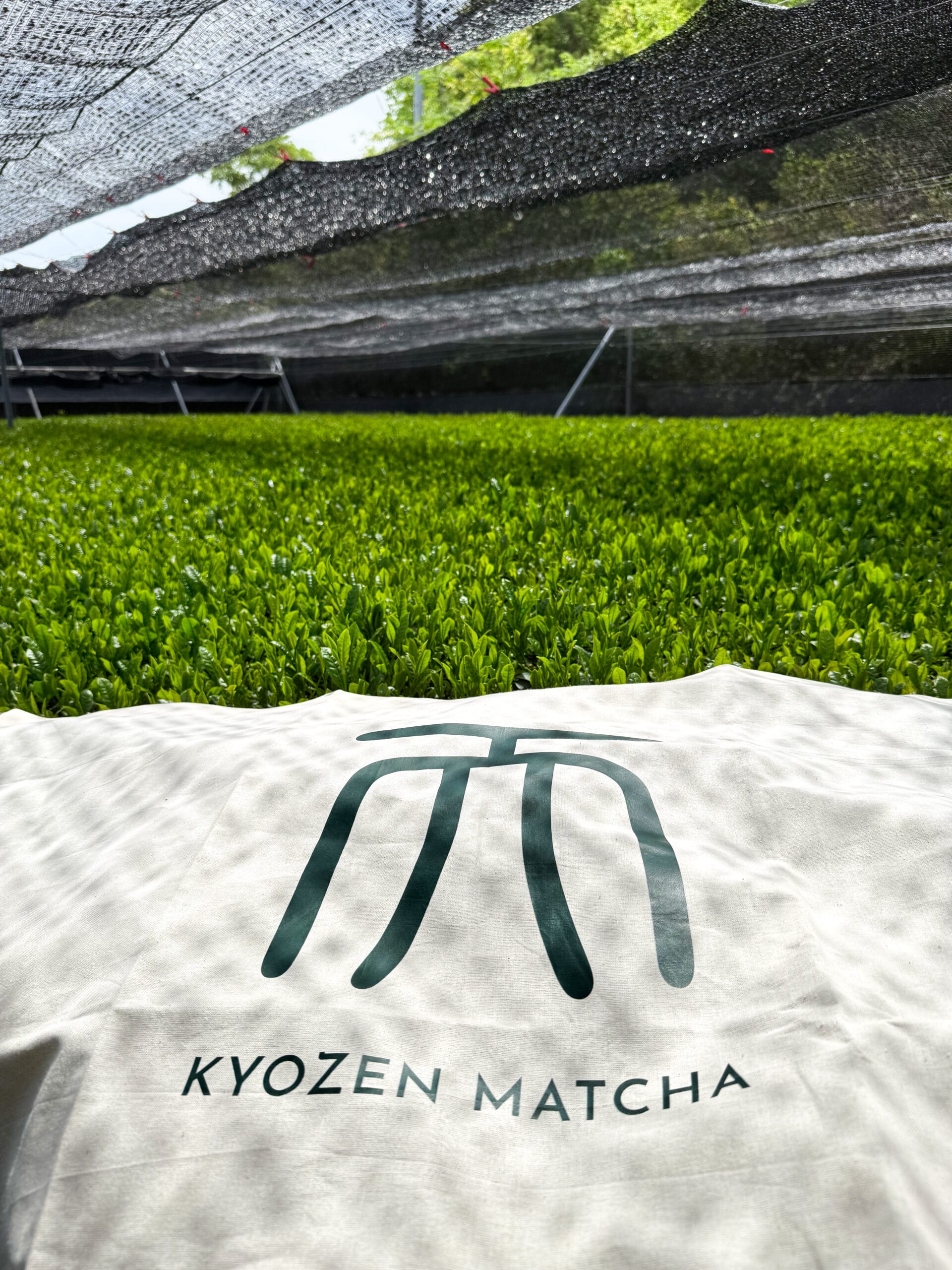 Kyozen Tea Plantation Tanakake Method